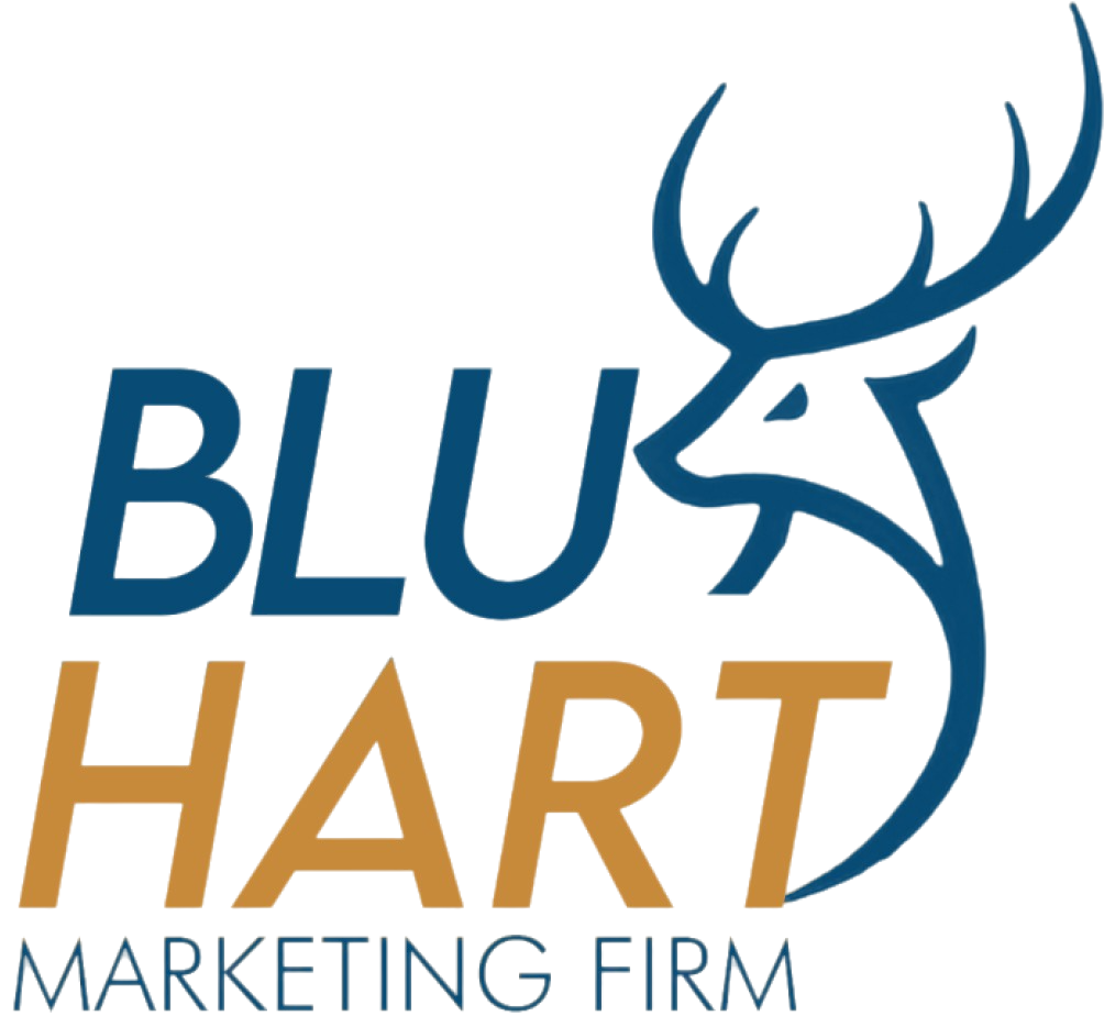 Blu Marketing Firm Team at Work